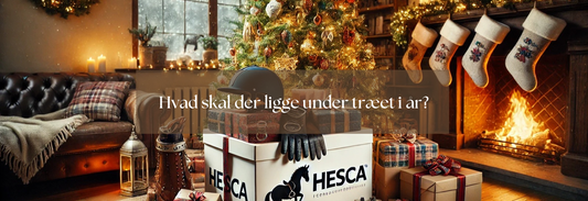 Hvad giver man en hesteelsker i julegave?