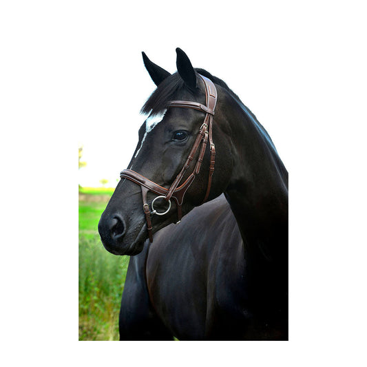 Trense fra Lippo Supreme Fazzino