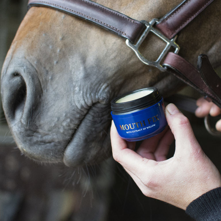 Mouth Fix, Nathalie Horsecare