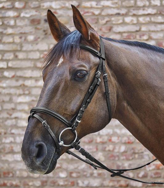 Star bacis trense