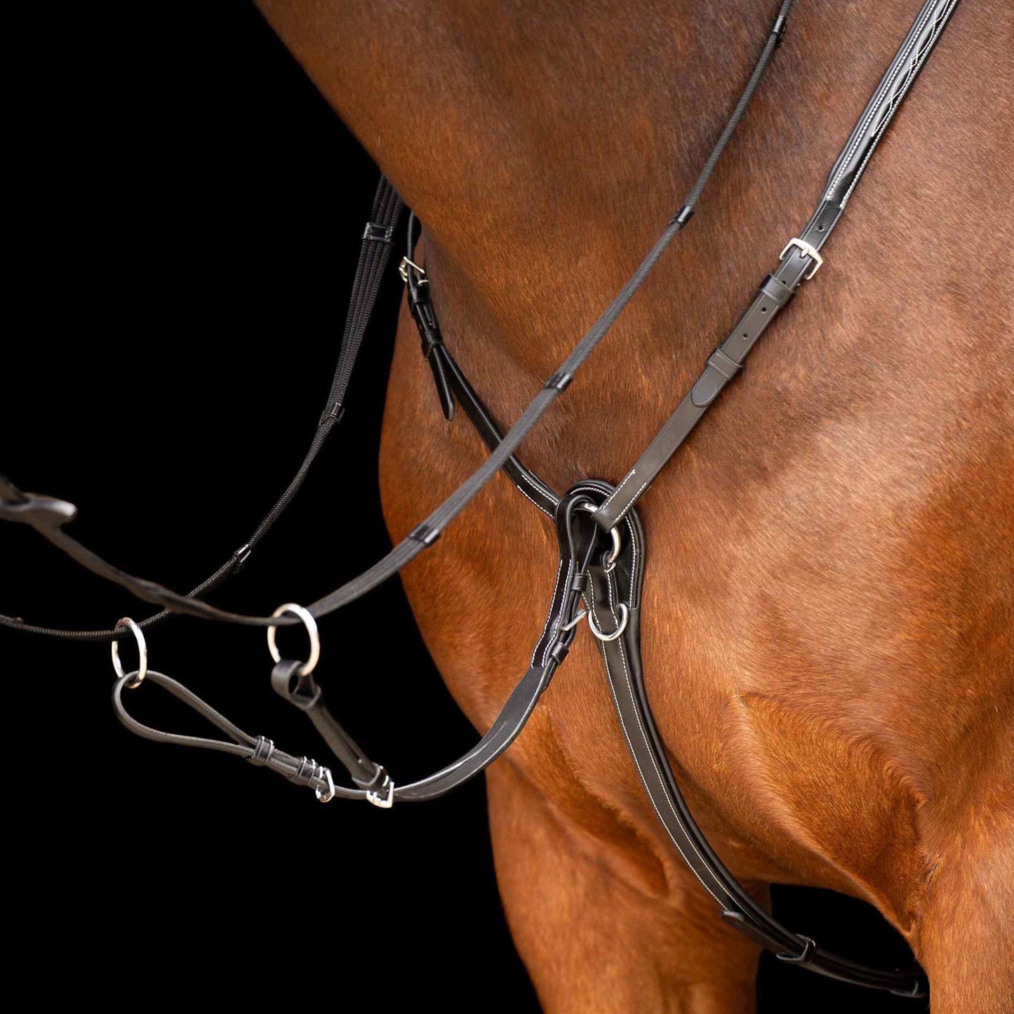HV Polo, Legacy fortøj med martingale