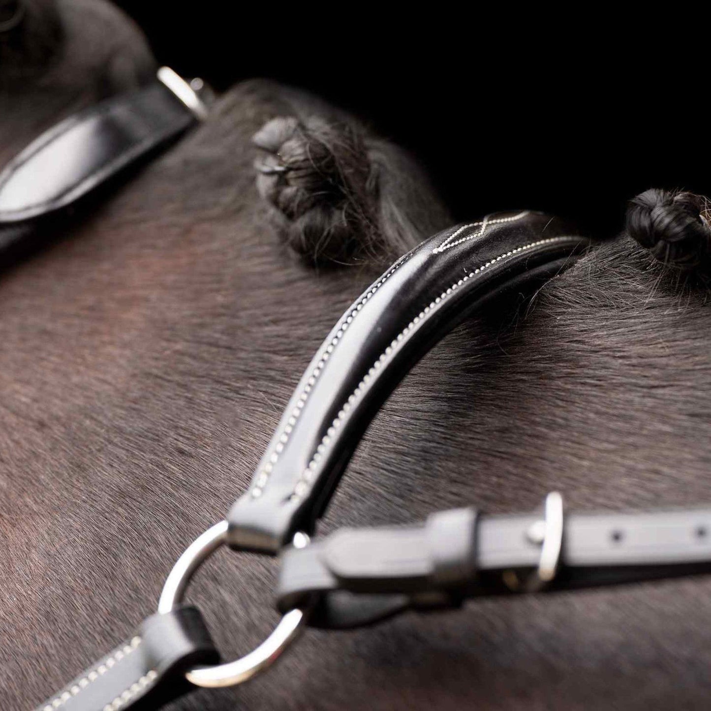 HV Polo, Legacy fortøj med martingale