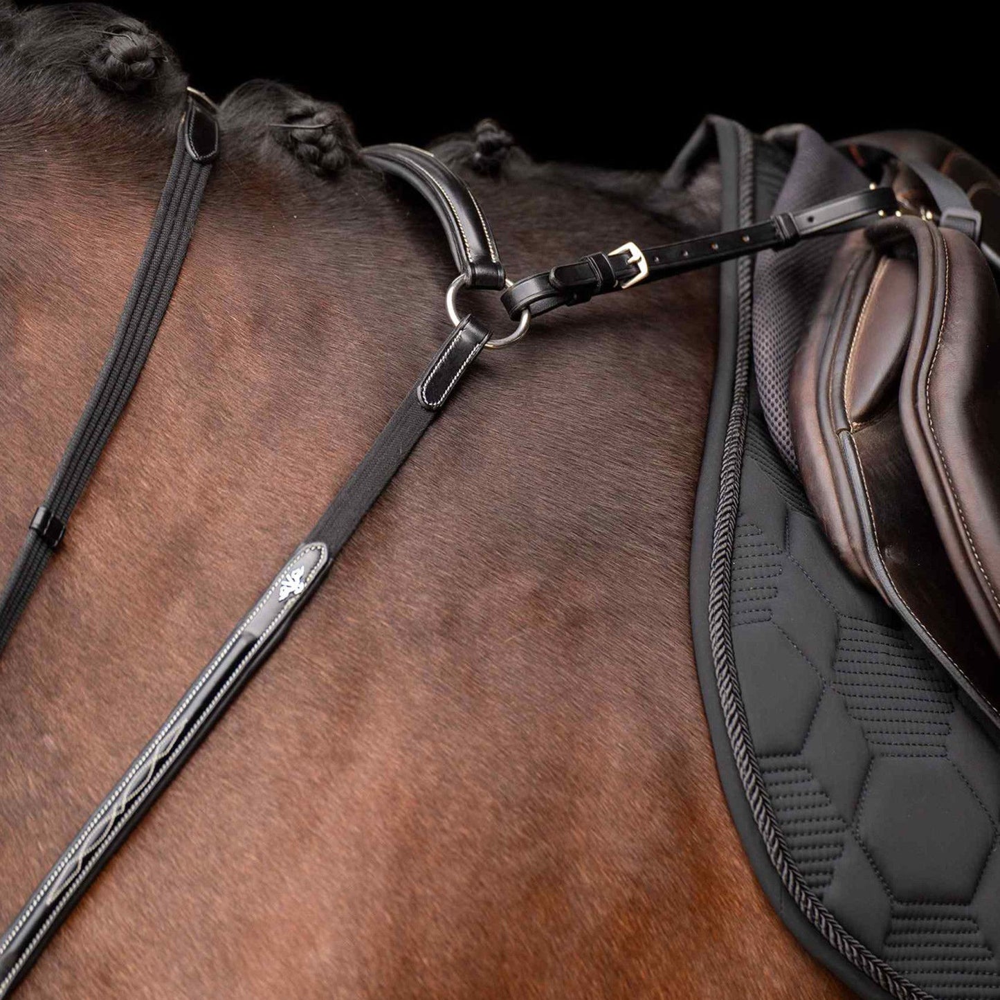 HV Polo, Legacy fortøj med martingale
