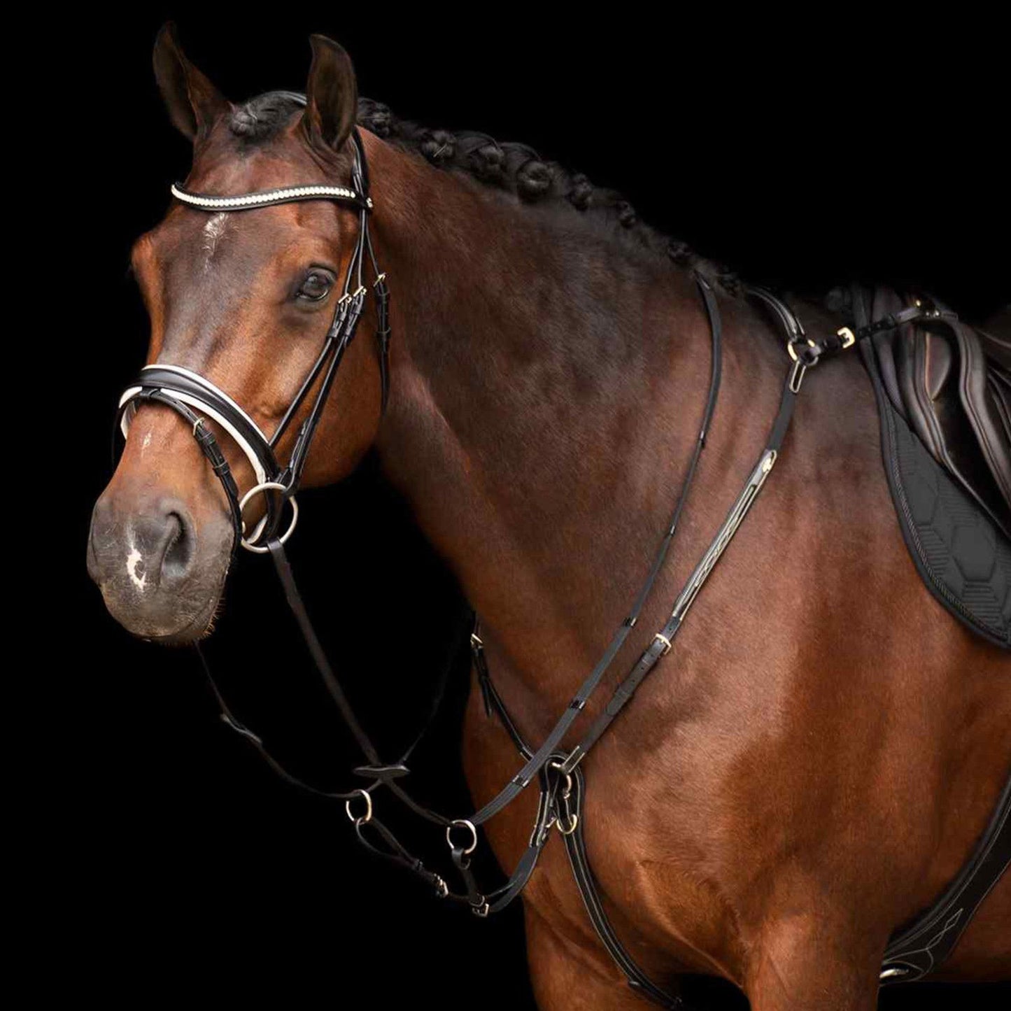 HV Polo, Legacy fortøj med martingale