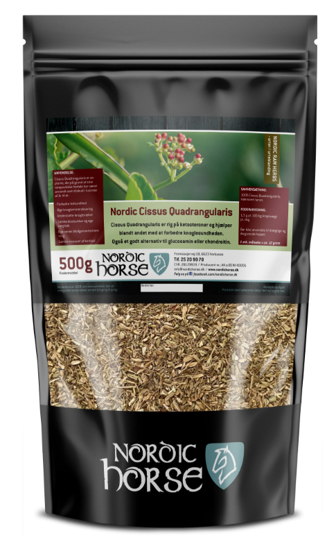 Nordic Cissus Quadrangularis, 500g