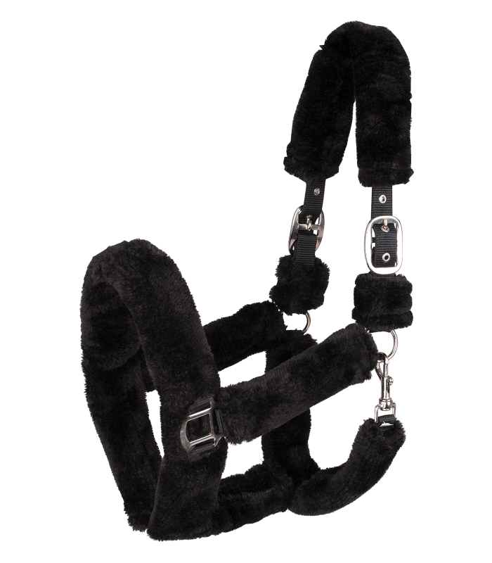 Waldhausen plys grime