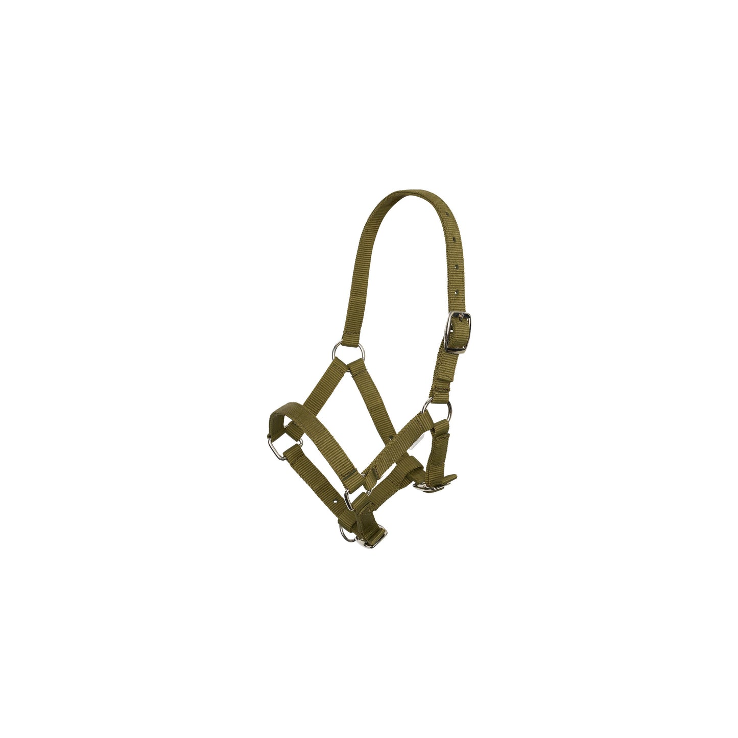 Imperial Riding føl grime