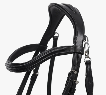 QHP Salerno trense