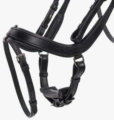 QHP Salerno trense