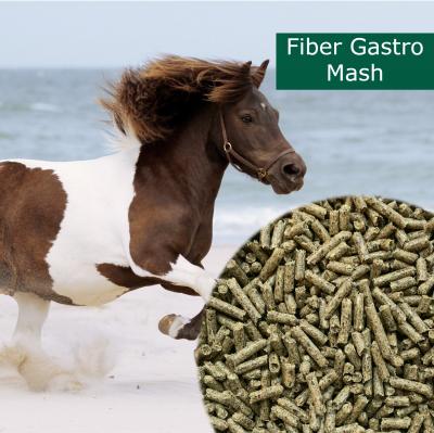 HorsePro Fiber Gastro Mash