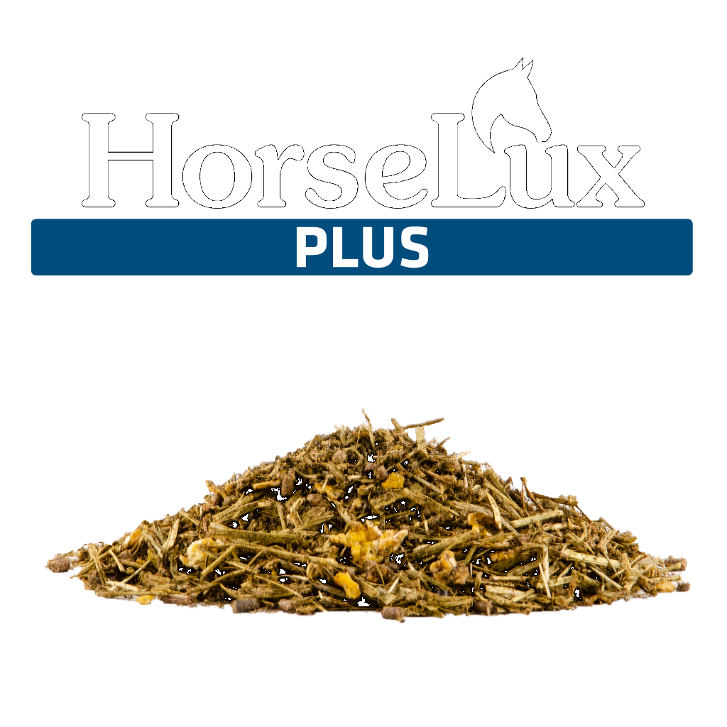 HorseLux Plus