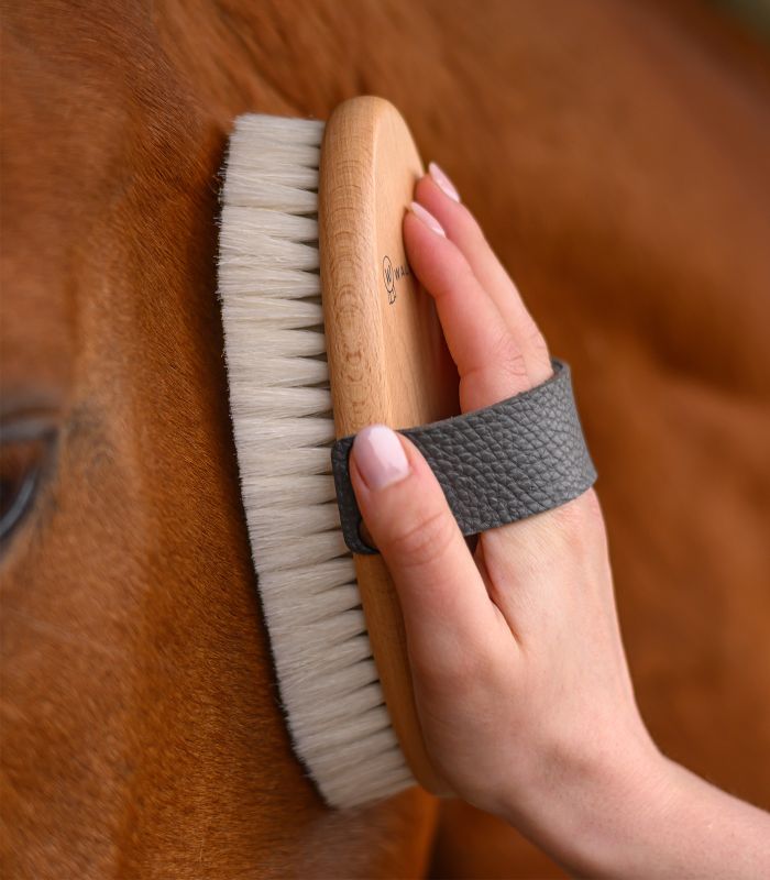 Waldhausen exclusive line strigle