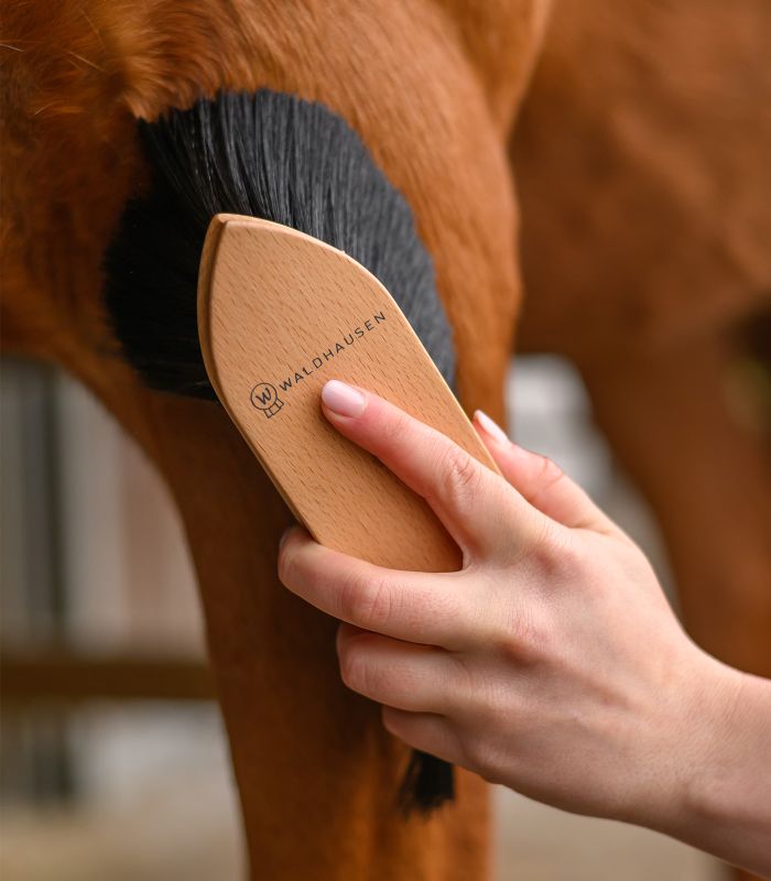 Waldhausen exclusive dust strigle