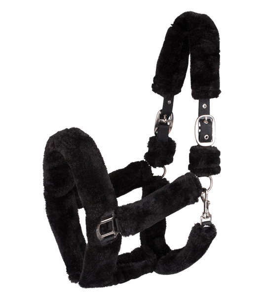 Waldhausen plys grime