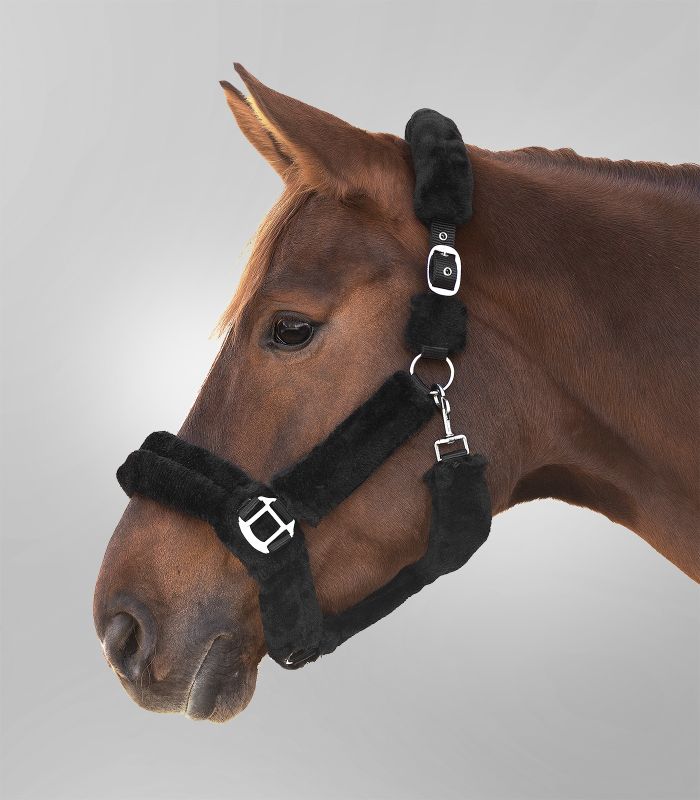 Waldhausen plys grime