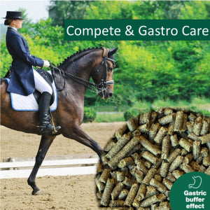 NAG HorsePro Compete & Gastro Care 20kg