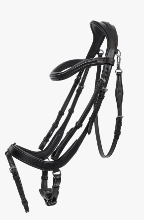 QHP Salerno trense