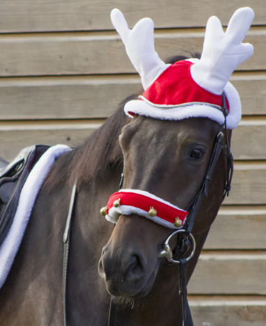 QHP Jule rensdyr hut