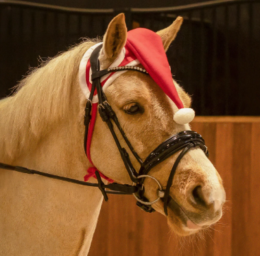 QHP Nissehue til hesten