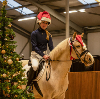 QHP Nissehue til hesten