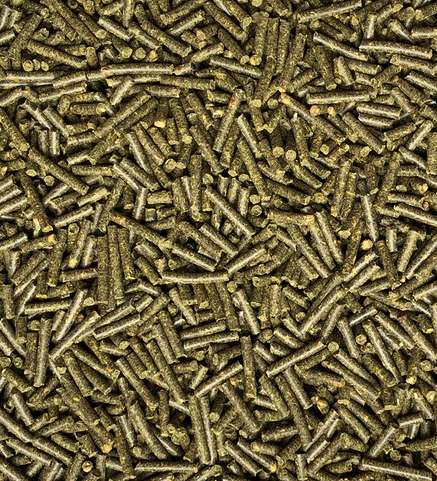 Nordic Biotin
