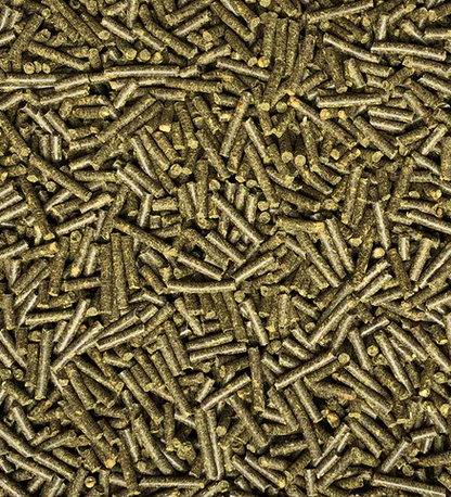 Nordic Biotin