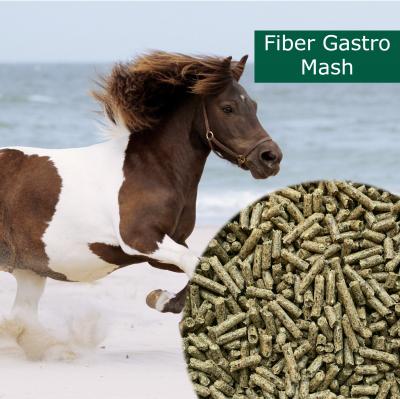 HorsePro Fiber Gastro Mash 10kg