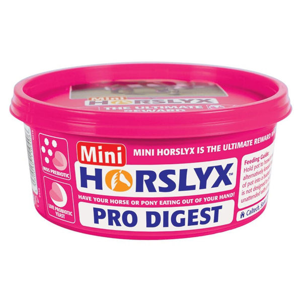 Horslyx mini - Pro Digest