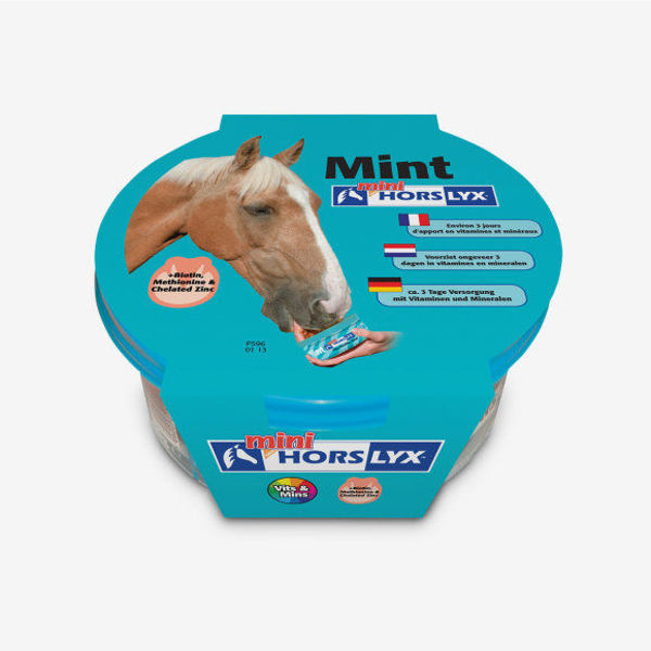 Horslyx mini, Mint & minthol