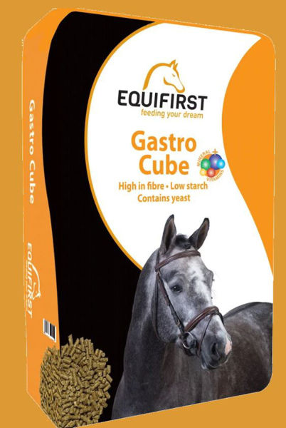 Equifirst, Gastro Cube