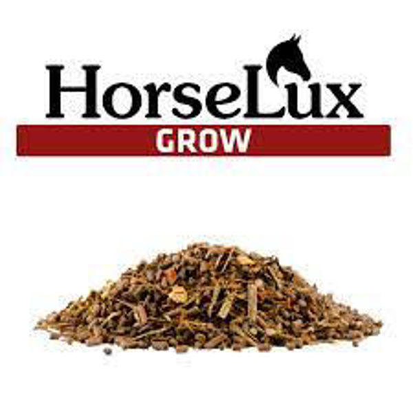 HorseLux Grow