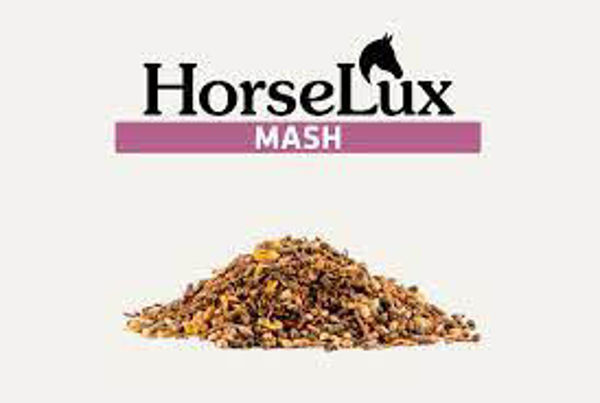 HorseLux Mash