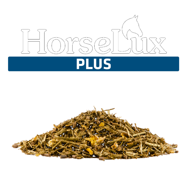 HorseLux Plus